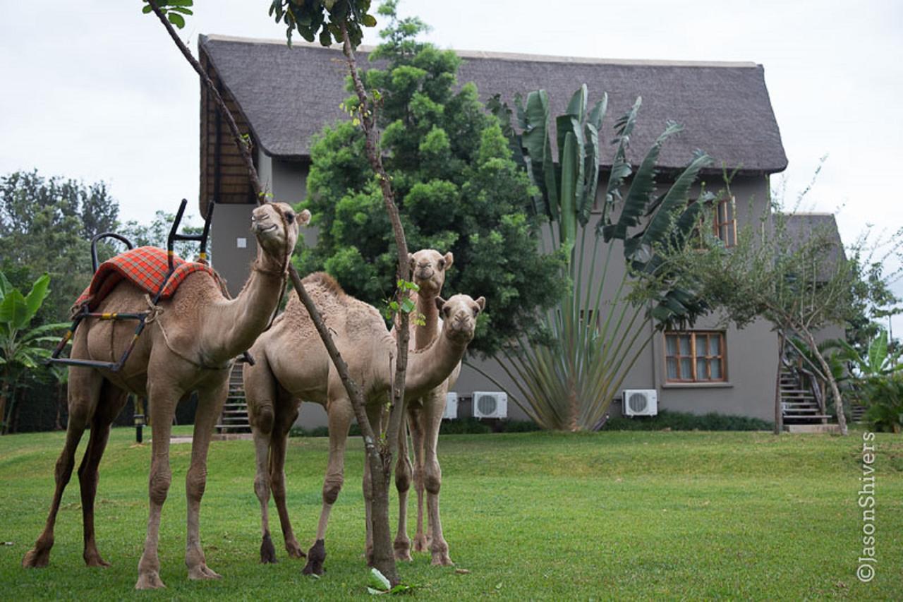 Weru Weru River Lodge Exteriör bild